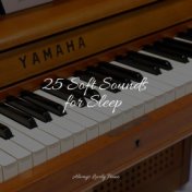 25 Soft Sounds for Sleep