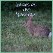 Hares on the Mountain