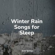 Winter Rain Songs for Sleep