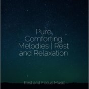Pure Comforting Melodies | Rest and Relaxation