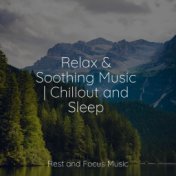 Relax & Soothing Music | Chillout and Sleep