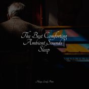 The Best Comforting Ambient Sounds | Sleep