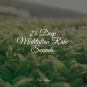 25 Deep Meditation Rain Sounds