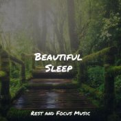 Beautiful Sleep