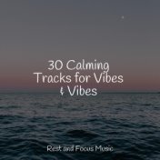 30 Calming Tracks for Vibes & Vibes