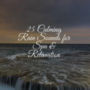 25 Calming Rain Sounds for Spa & Relaxation