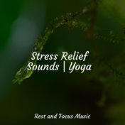 Stress Relief Sounds | Yoga