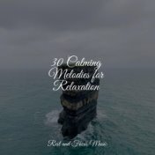 30 Calming Melodies for Relaxation