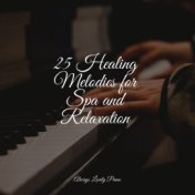 25 Healing Melodies for Spa and Relaxation