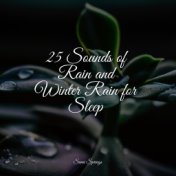 25 Sounds of Rain and Winter Rain for Sleep