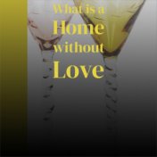 What is a Home without Love