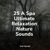 25 A Spa Ultimate Relaxation Nature Sounds