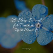 25 Sleep Sounds for Peace and Rain Sounds