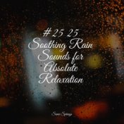 #25 25 Soothing Rain Sounds for Absolute Relaxation