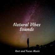 Natural Vibes Sounds