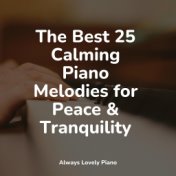 The Best 25 Calming Piano Melodies for Peace & Tranquility