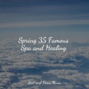 Spring 35 Famous Spa and Healing