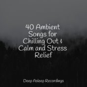 40 Ambient Songs for Chilling Out & Calm and Stress Relief