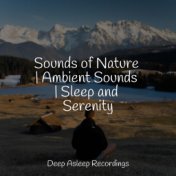 Sounds of Nature | Ambient Sounds | Sleep and Serenity