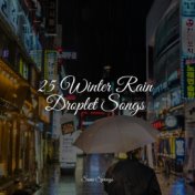 25 Winter Rain Droplet Songs