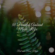 30 Peaceful Ambient Music Mix