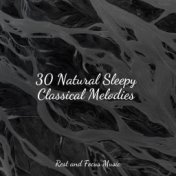 30 Natural Sleepy Classical Melodies