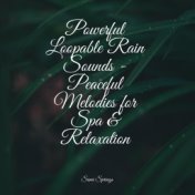Powerful Loopable Rain Sounds - Peaceful Melodies for Spa & Relaxation