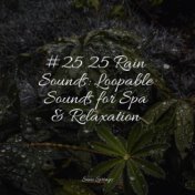 #25 25 Rain Sounds: Loopable Sounds for Spa & Relaxation