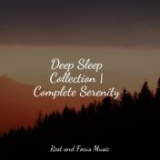 Deep Sleep Collection | Complete Serenity