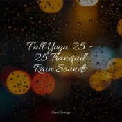 Fall Yoga 25 - 25 Tranquil Rain Sounds