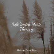 Soft Welch Music Therapy