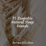 35 Loopable Natural Sleep Sounds