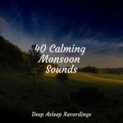 40 Calming Monsoon Sounds