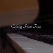 Calming Piano Tunes