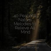 40 Peaceful Nature Melodies to Relieve All Mind