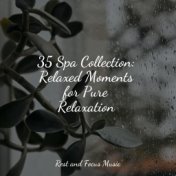 35 Spa Collection: Relaxed Moments for Pure Relaxation