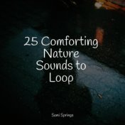 25 Comforting Nature Sounds to Loop