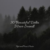 30 Beautiful Delta Wave Sounds