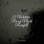 25 Worries: Rainy Night Rainfall