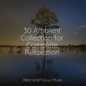 30 Ambient Collection for Complete Relaxation