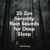 25 Zen Serenity Rain Sounds for Deep Sleep