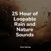 25 Hour of Loopable Rain and Nature Sounds