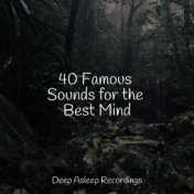 40 Famous Sounds for the Best Mind