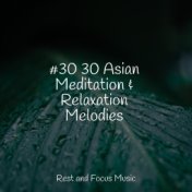 #30 30 Asian Meditation & Relaxation Melodies