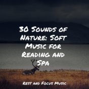 30 Sounds of Nature: Soft Music for Reading and Spa