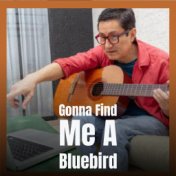 Gonna Find Me A Bluebird