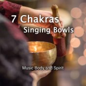 7 Chakras Singing Bowls