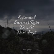 Essential Summer Rain Droplet Recordings