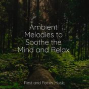 Ambient Melodies to Soothe the Mind and Relax