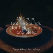 40 Sleepy Nature Sounds for Relaxation and Sleep